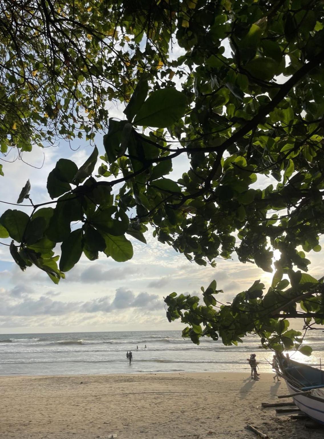 12 Monks - Beachside Hostel アランボル エクステリア 写真